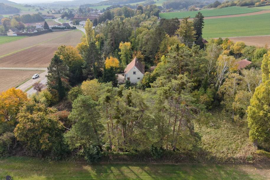 Viel Platz im Grünen: Haus mit Garage auf 8.580 m² Grundstück in Plankenberg, Haus-kauf, 410.000,€, 3451 Tulln
