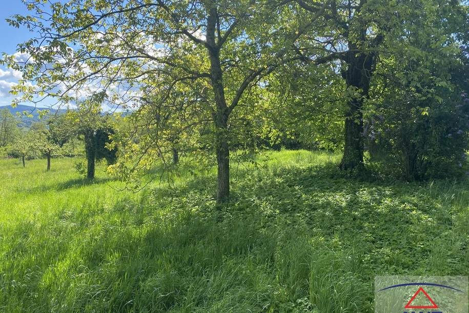 Charmanter Hof in idyllischer Ruhelage! Ideal für Tierliebhaber!, Haus-kauf, 229.000,€, 7433 Oberwart