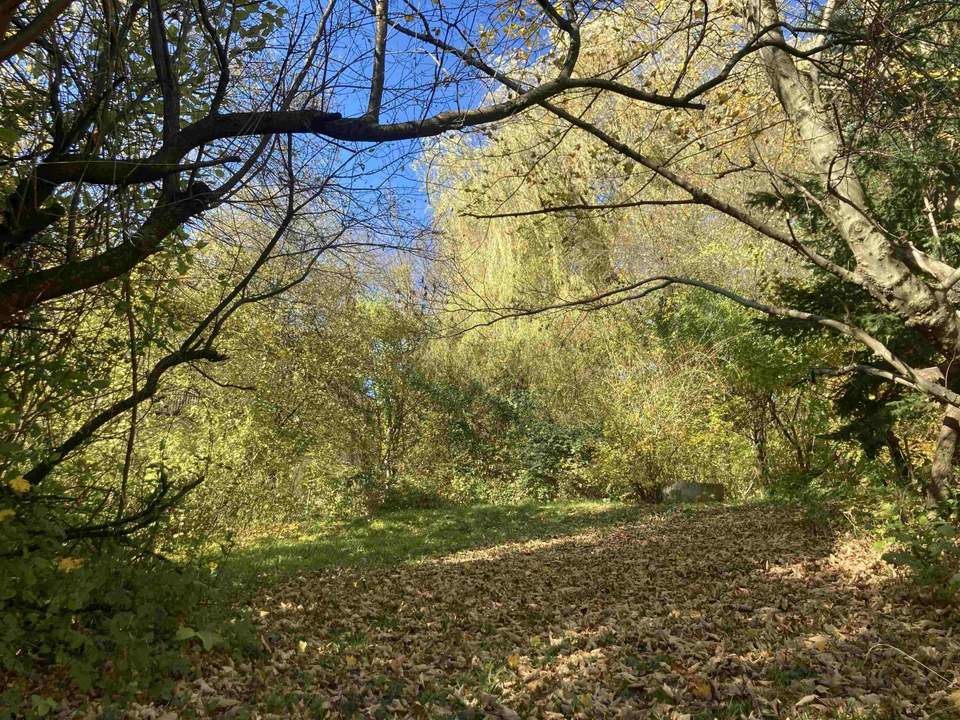 BAUGRUND IN ZENTRALER LAGE - KEINE WOHNEINHEITENBESCHRÄNKUNG