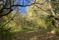 BAUGRUND IN ZENTRALER LAGE - KEINE WOHNEINHEITENBESCHRÄNKUNG