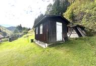 ***Idyllisches Ein- bis Zweifamilienhaus – Natur pur und sofort beziehbar !***