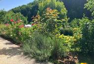 Großzügiges Haus mit Traumgarten