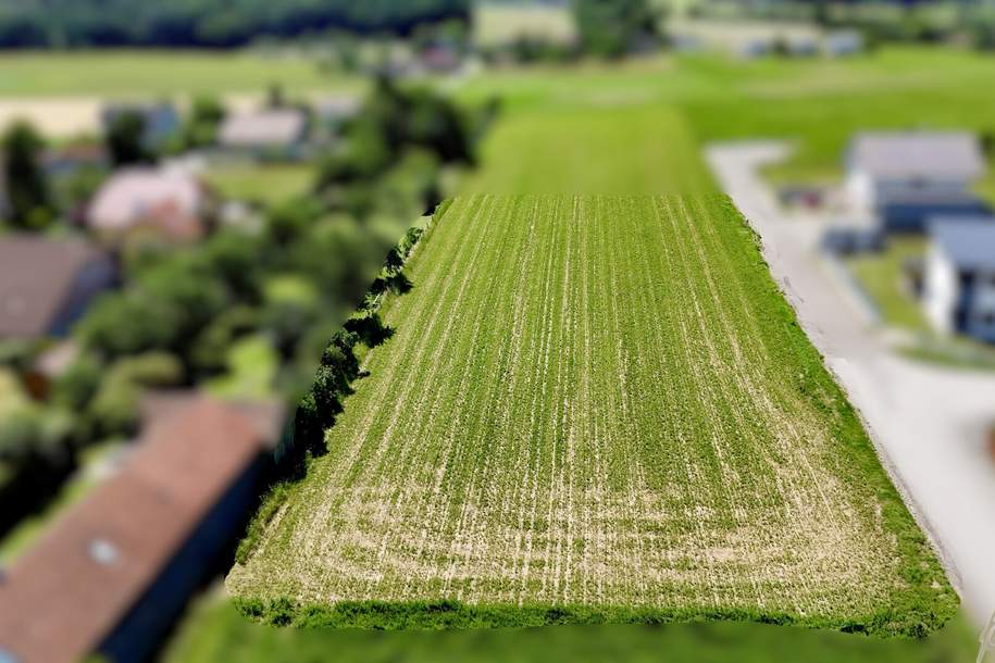 ***Vom Traum zum Eigenheim! Sonniges Baugrundstück in Kirchstetten***, Grund und Boden-kauf, 119.000,€, 3062 Sankt Pölten(Land)