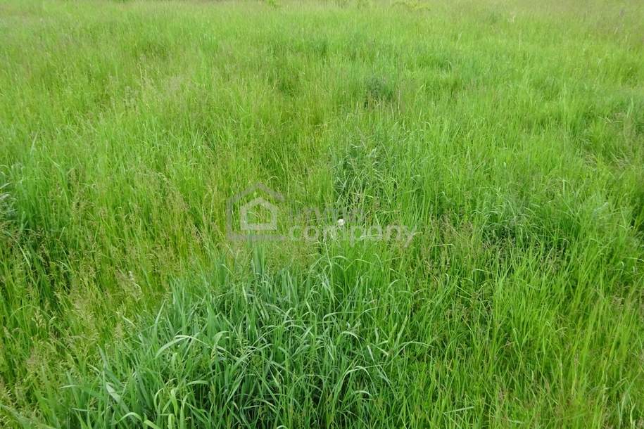 Baugrundstück in 3830 Waidhofen an der Thaya mit 1.312 m²!, Grund und Boden-kauf, 159.000,€, 3830 Waidhofen an der Thaya