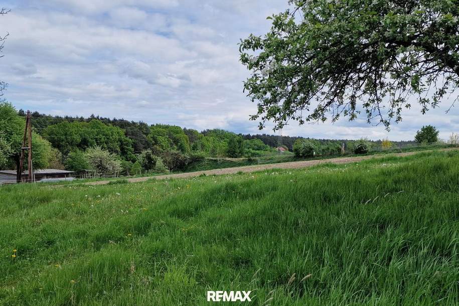 Idyllisches Baugrundstück in Lindegg – Lebensqualität inmitten der Thermenregion., Grund und Boden-kauf, 70.000,€, 8283 Hartberg-Fürstenfeld