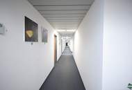 Hochwertige Büroflächen an der Brigittenauer Lände