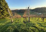 IN SLOWENIEN - Weingut in spektakulärer Alleinlage mit traumhafter Aussicht!