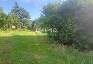 WOHN-UND GESCHÄFTSHAUS AUS DEM 16. JAHRHUNDERT IM HERZEN VON LANGENLOIS 100 m Kellerröhre, Nebengebäude, Innenhof, Geschäftslokale, usw.