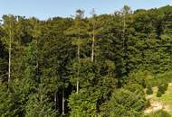 "Exklusive Residenz mit Wald!"