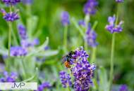 Modernes Luxusrefugium mit 5 Zimmern und großem Outdoor-Pool!