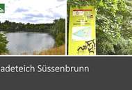 Grün soweit das Auge reicht! Modernes Wohnen in Süßenbrunner Ruhelage mit S-Bahn S1 in Gehweite und großer Terrasse!