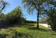 Landhaus mit über 5,4 ha Grund im Weinviertel - Wohnkomfort & Landwirtschaft vereint