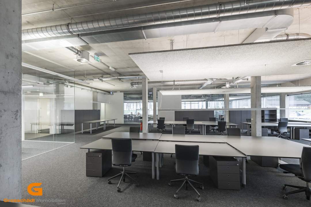 Salzburg Süd - Top Loftstylebüro mieten