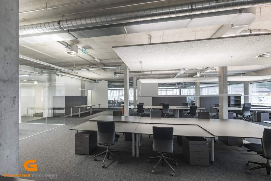 Salzburg Süd - Top Loftstylebüro mieten, Gewerbeobjekt-miete, 5.320,00,€, 5081 Salzburg-Umgebung