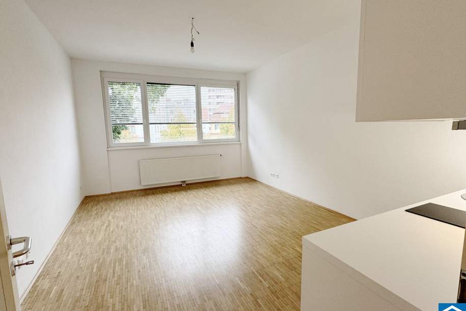 Perfekte Stadtwohnung: 1-Zimmer in begehrter Lage, Wohnung-miete, 495,00,€, 8020 Graz(Stadt)