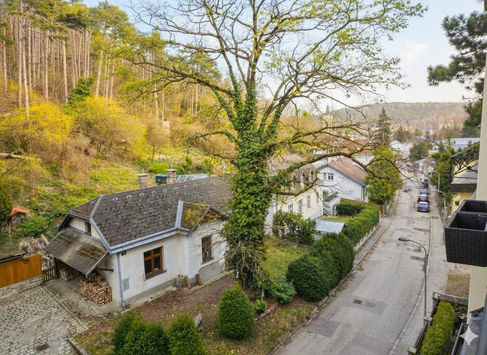Mitten im Grünen und am Rande des Lainzer Tiergartens | Waldrandlage im Naturschutzgebiet I eigener Gartenbereich