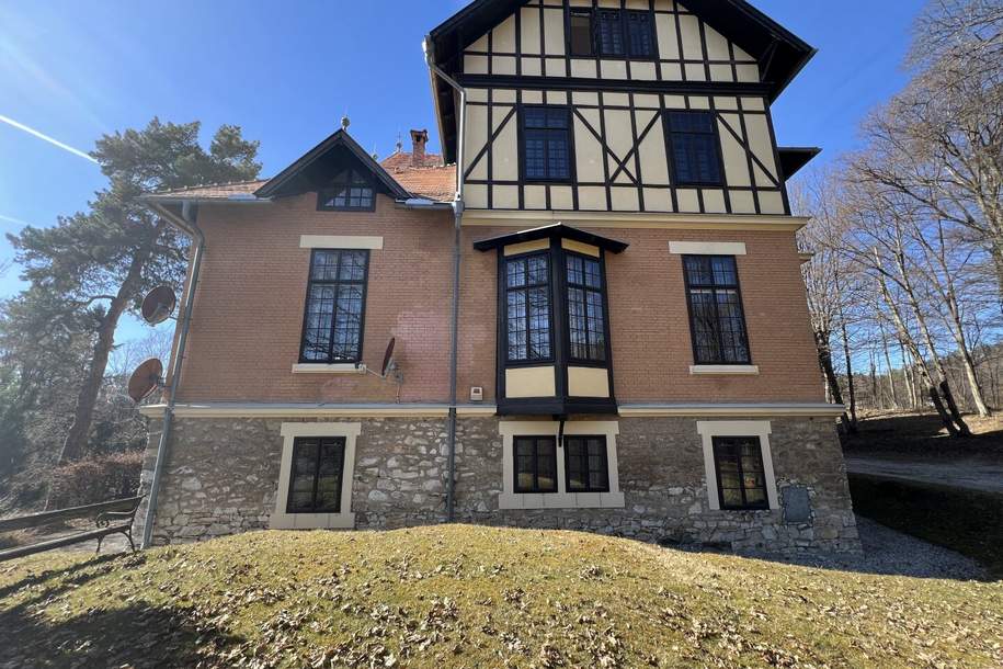 +++direkt in Pörtschach am Wörthersee +++ tolle Wohnung im Schloss Hoyos (Villa Eichenhügel), Wohnung-kauf, 9210 Klagenfurt Land