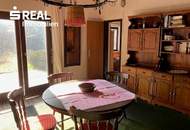 Sommer am Neufeldersee