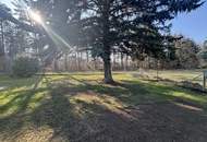 Ihre Gelgenheit! Geräumiger Bungalow in Ruhelage nahe Wr.Neustadt