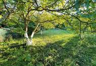 GELEGENHEIT IM PARADIES (kein Bauland)