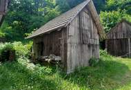 Für Naturliebhaber und Heimwerker- sanierungsbedürftiges Bauernhaus mit Nebengebäuden - zwischen Hermagor und Villach