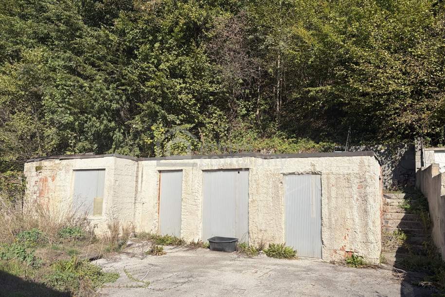 Grundstück mit bestehendem Keller und großem Waldanteil in Pinggau, Grund und Boden-kauf, 38.000,€, 8243 Hartberg-Fürstenfeld
