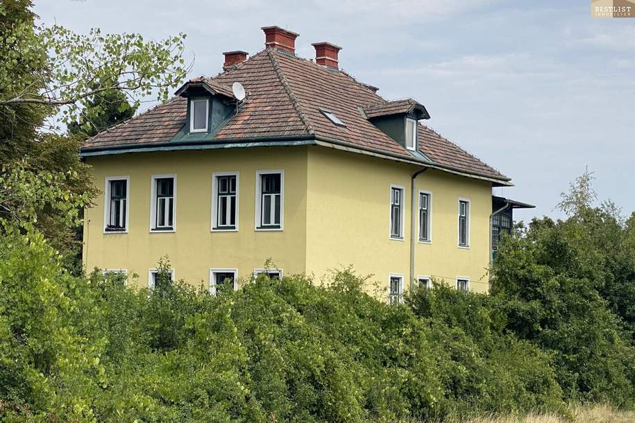 Perfektes Anlageobjekt mit Möglichkeit zur Eigennutzung in den Weinbergen von Sooß, Gewerbeobjekt-kauf, 1.750.000,€, 2504 Baden