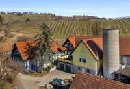 Bäuerliches Anwesen mit Kellerstöckl, Wirtschaftsgebäuden und sechs Wohneinheiten in St. Nikolai im Sausal