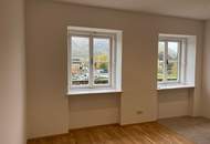 einmalige sensationelle Lage in Spitz (Wachau): Einfamilienhaus / 2 Ferienwohnungen