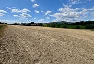 Landwirtschaftlicher Nutzgrund Leonding