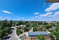 AB SEPTEMBER | 2-ZIMMER | SÜDWESTLICH | BALKON | AN DER ALTEN DONAU | DONAUSTADTBRÜCKE |