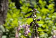 Helle 4-Zi-Wohnung für sportliche im Dachgeschoss - WG-geeignet - auch für Musiker