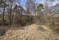 Aussichts-Hang-Baugrundstück aufgeschlossen, OHNE Bauzwang und OHNE Bebauungsplan!