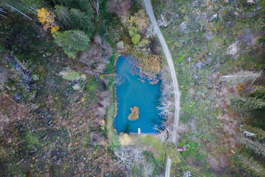 Wunderschöne Teichanlage in Kärnten, Gewerbeobjekt-kauf, 70.000,€, 9322 Sankt Veit an der Glan
