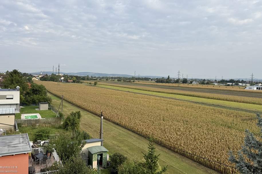 Familienwohnung Sofortbezug, Wohnung-miete, 1.491,50,€, 2102 Korneuburg