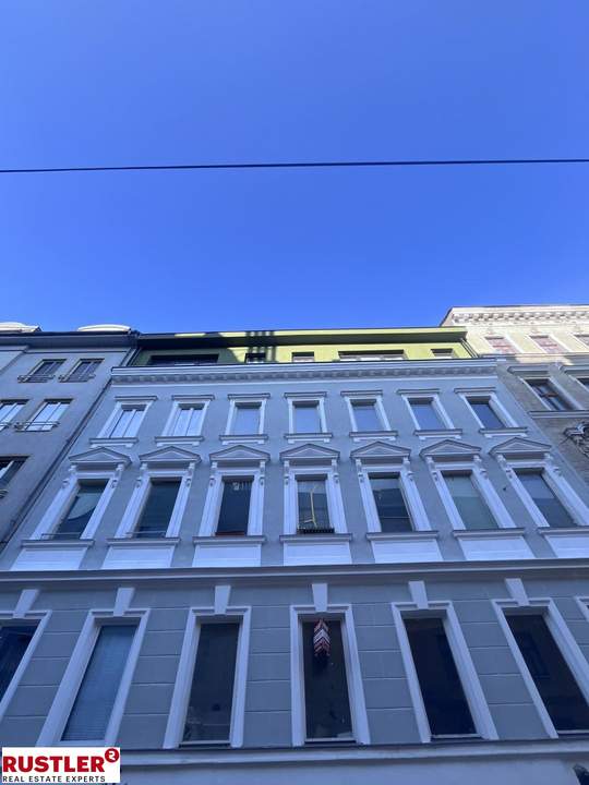 Bastler aufgepasst | südseitig ausgerichtete 3-Zimmerwohnung in einem sanierten Altbau