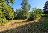 WIENERWALDVILLA AUF EINEM GROSSEN GRUNDSTÜCK MIT SANIERUNGSBEDARF