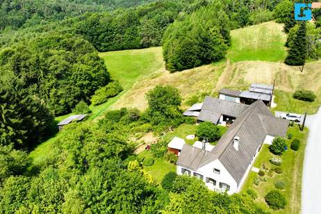Naturparadies im Südburgenland: Charmantes Landhaus mit Fernblick, Weingarten &amp; 2 ha Grund in absoluter Ruhelage, Haus-kauf, 360.000,€, 8384 Jennersdorf