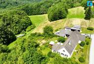 Naturparadies im Südburgenland: Charmantes Landhaus mit Fernblick, Weingarten & 2 ha Grund in absoluter Ruhelage