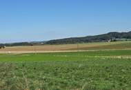 Unverbaubare Fernsicht! 1.531 m² großes Hang-Baugrundstück OHNE Bauzwang und OHNE Bebauungsplan in Steusiedlung am Land!