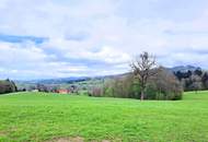 10 ha Grünland und Forstwirtschaftsflächen in Feichsen