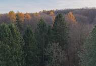 "Wohnung mit Traumterrasse und Waldblick"