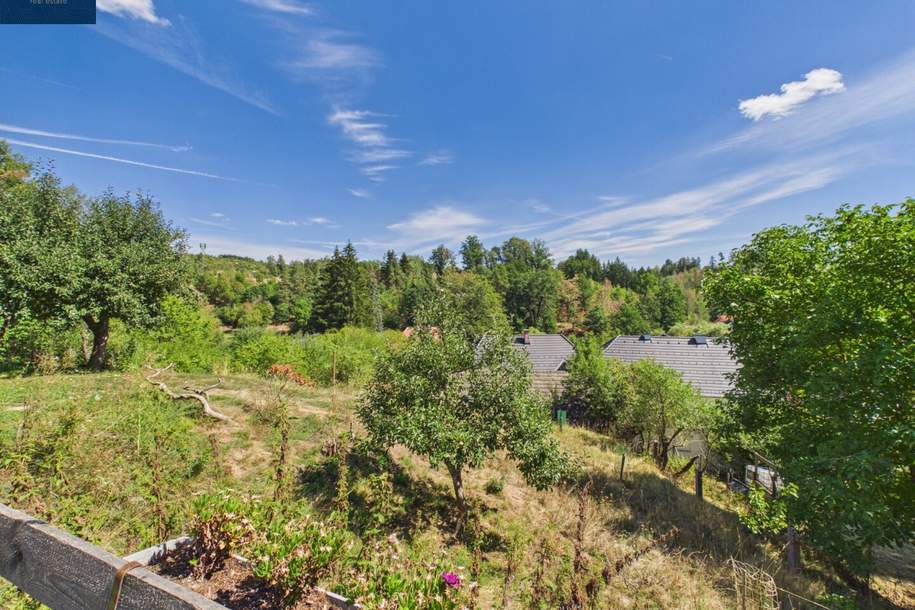 Sanierter Bauernhof in ruhiger Naturlage mit rund 3.200 m² Grund, Obstgarten und Tierhaltung, Haus-kauf, 279.000,€, 3844 Waidhofen an der Thaya