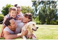 Sonniges Baugrundstück in Toplage – Ruhe, Infrastruktur &amp; Graz-Nähe perfekt vereint