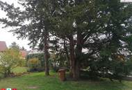 Wünderschönes, 2017 renoviertes Haus auf großem Grundstück mit traumhaftem Garten in Toplage von Stockerau