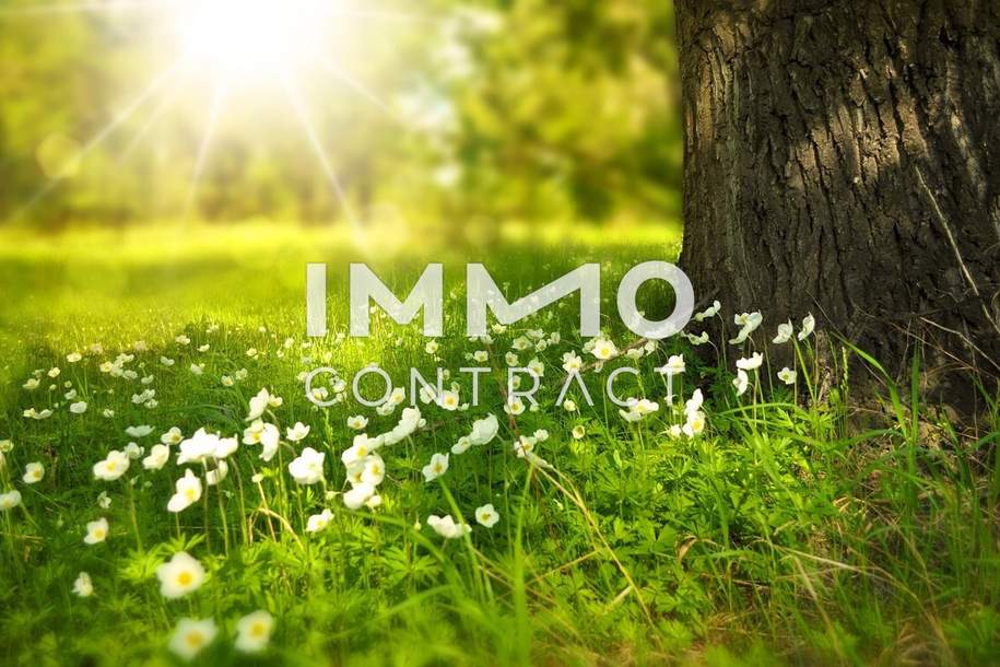 ***Preis-Hit****Schönes Grundstück mit Weitblick & bestehendem Stromanschluss, Grund und Boden-kauf, 55.000,€, 7464 Oberwart