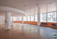 Modernes Arbeiten im Andromeda Tower!