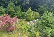 Gemütliches Landhaus mit Einliegerwohnung in erhöhter Waldrandlage - Sehr ruhig gelegen!