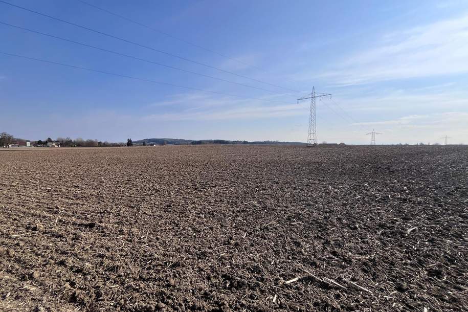 Grundstück zum Entwickeln, Grund und Boden-kauf, 4975 Schärding