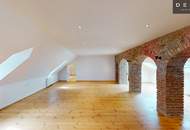 | PROVISIONSFREI | DACHGESCHOSS | FUSSGÄNGERZONE | VIEL POTENZIAL |